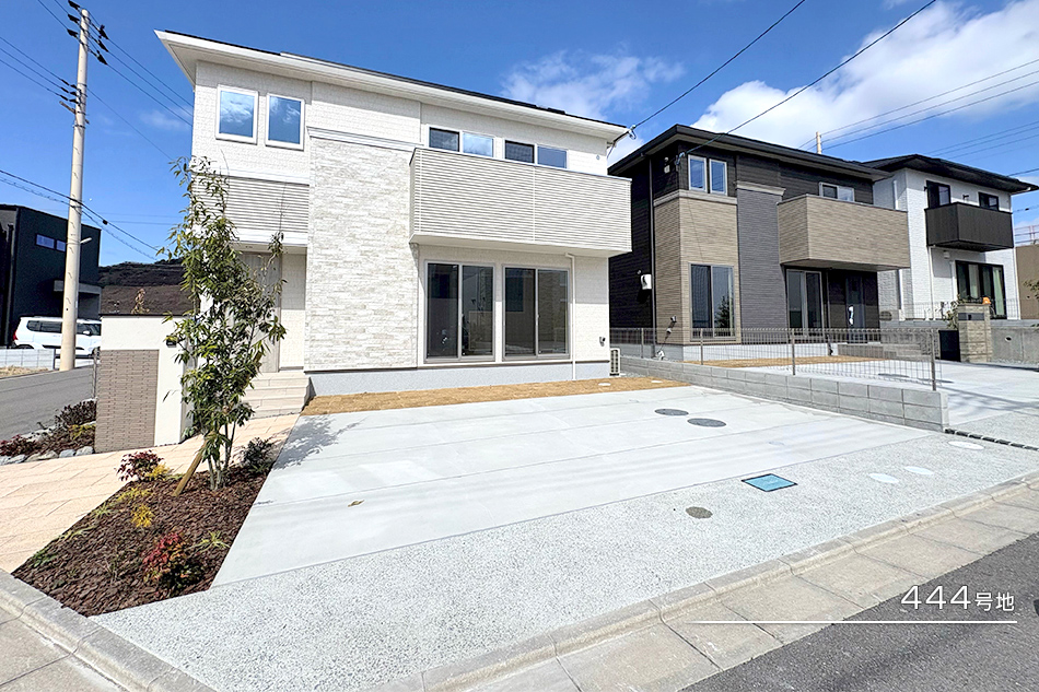 444号地