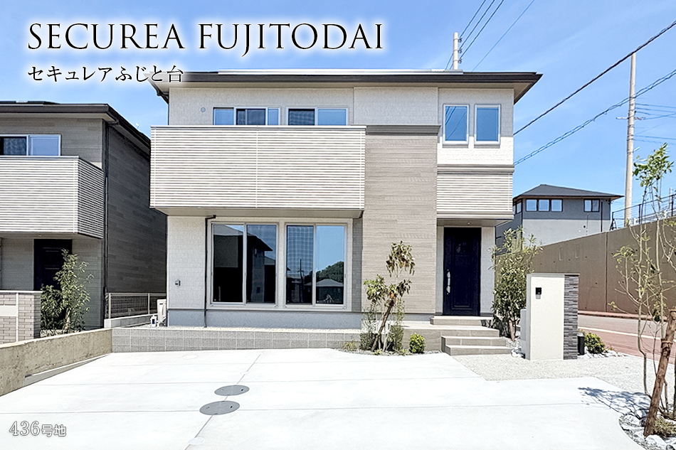 436号地