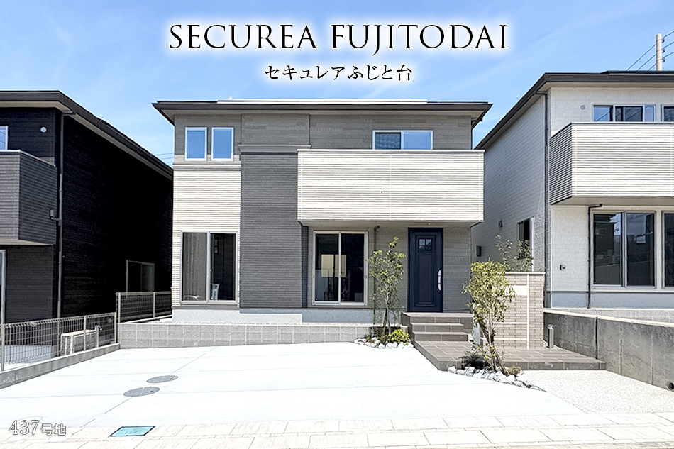 437号地