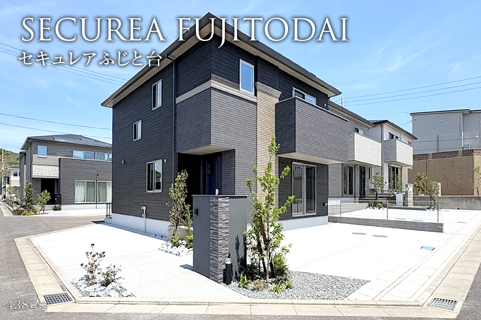 438号地