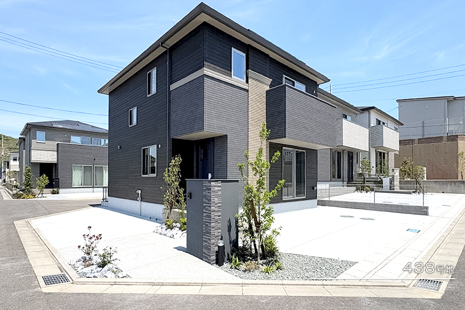 438号地