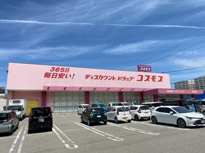 ドラッグストアコスモス新宮店
