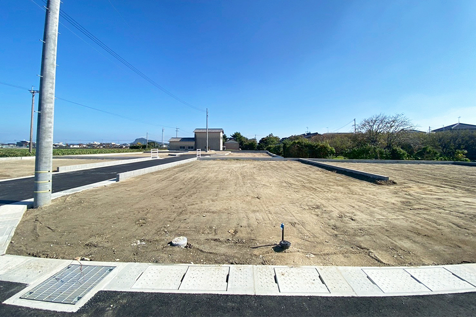 8号地