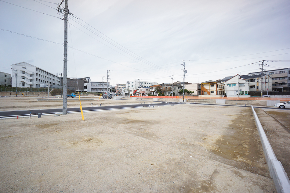 46号地