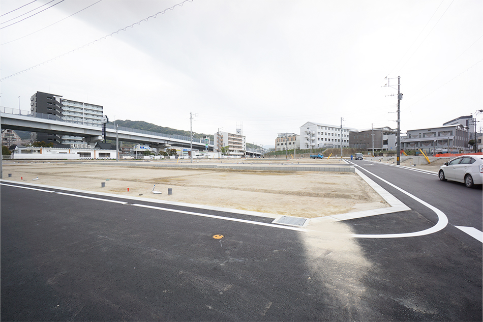 53号地