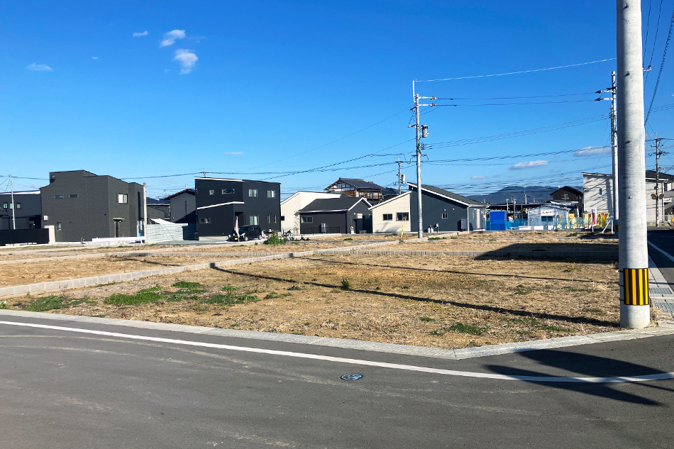 7号地