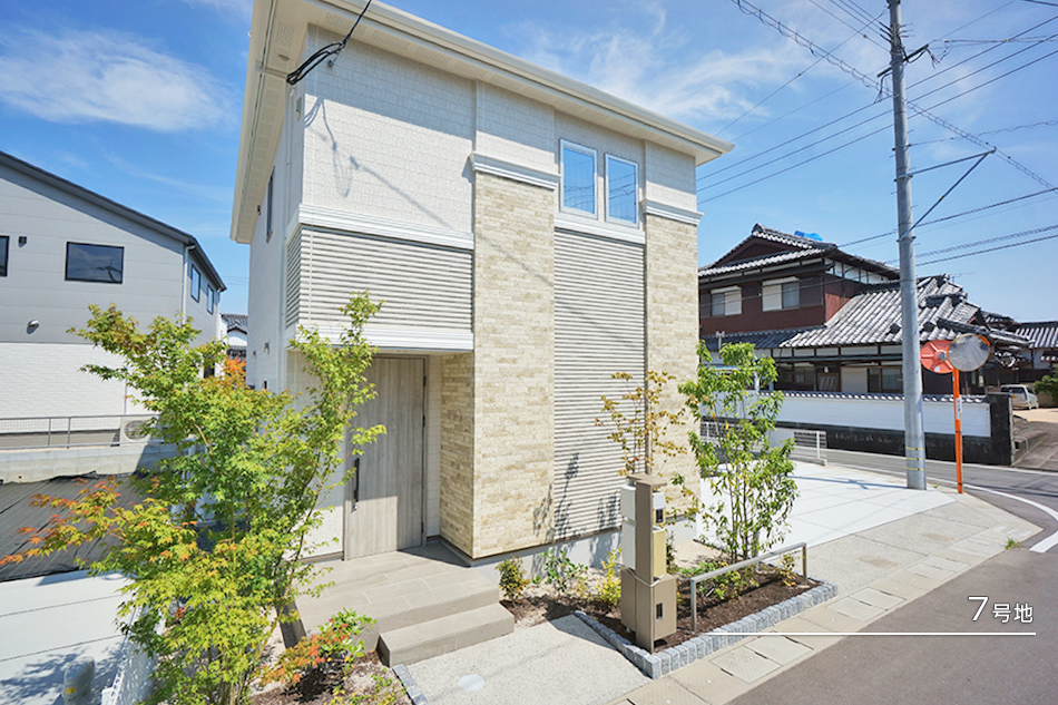7号地