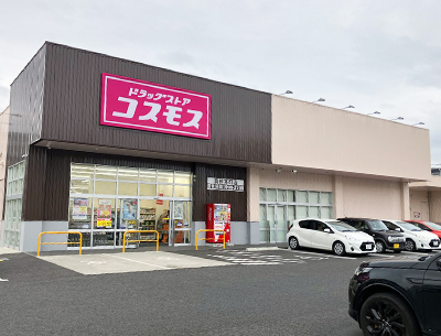 ドラッグストアコスモス真砂本町店