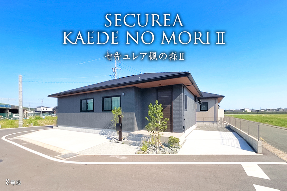 8号地