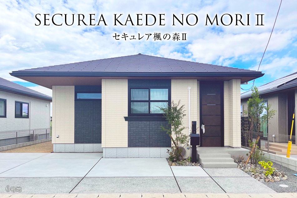 6号地
