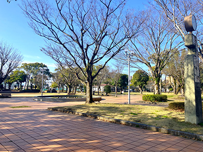 宮崎中央公園