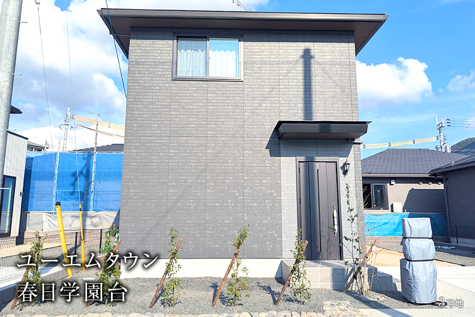3号地