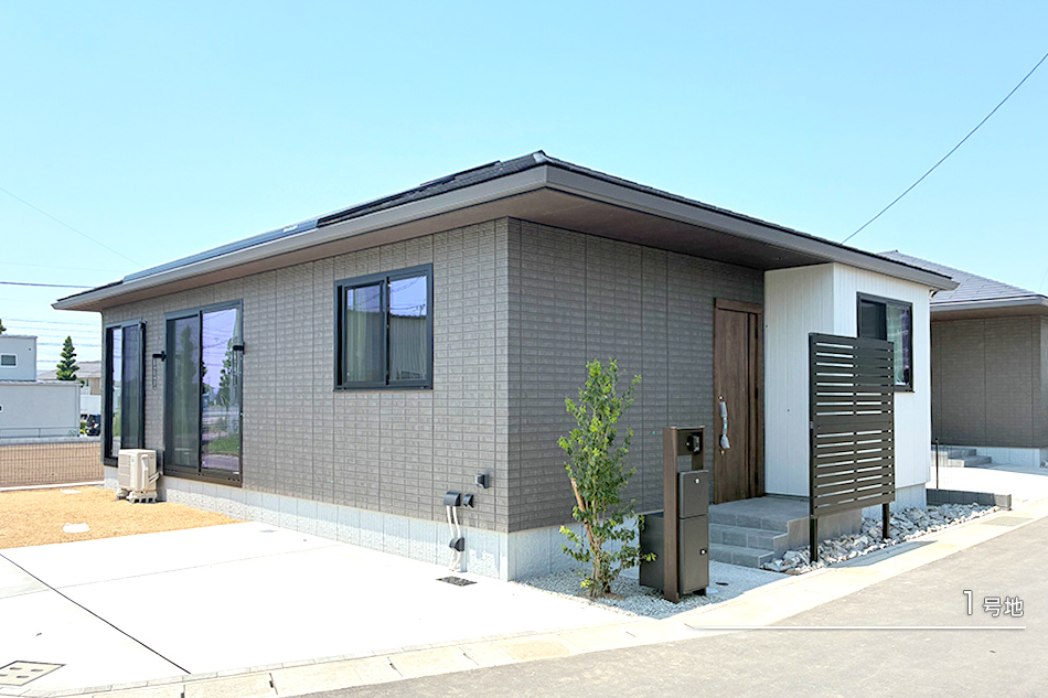 1号地