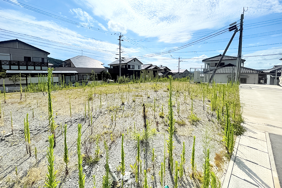 3号地