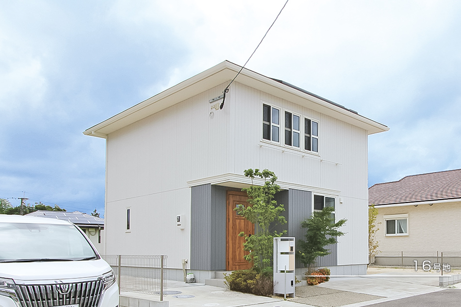 16号地