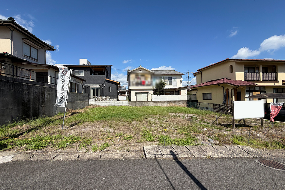 1号地