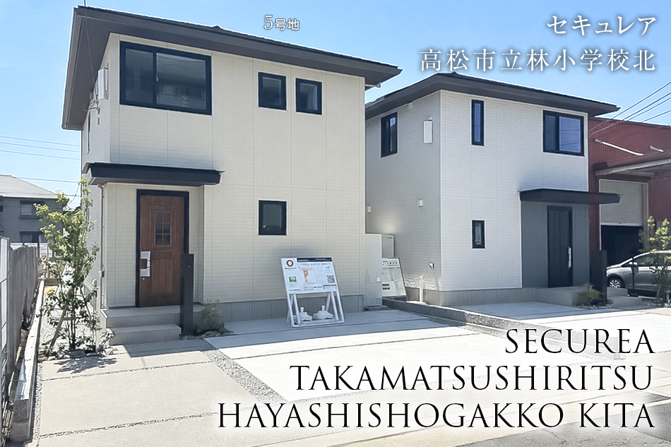 5号地