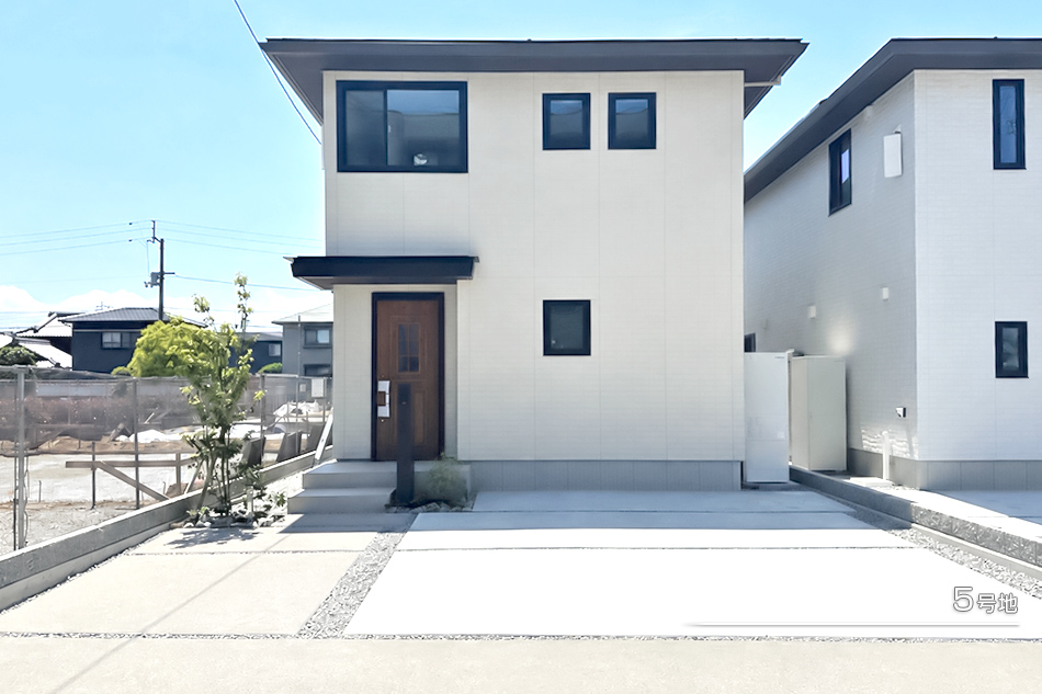 5号地