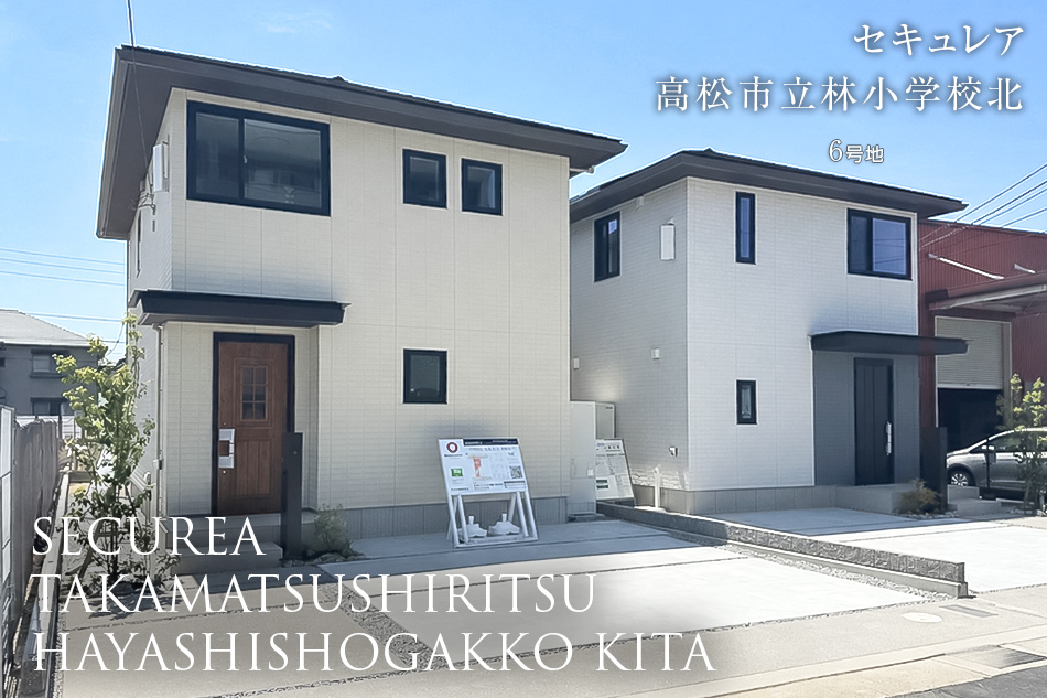 6号地