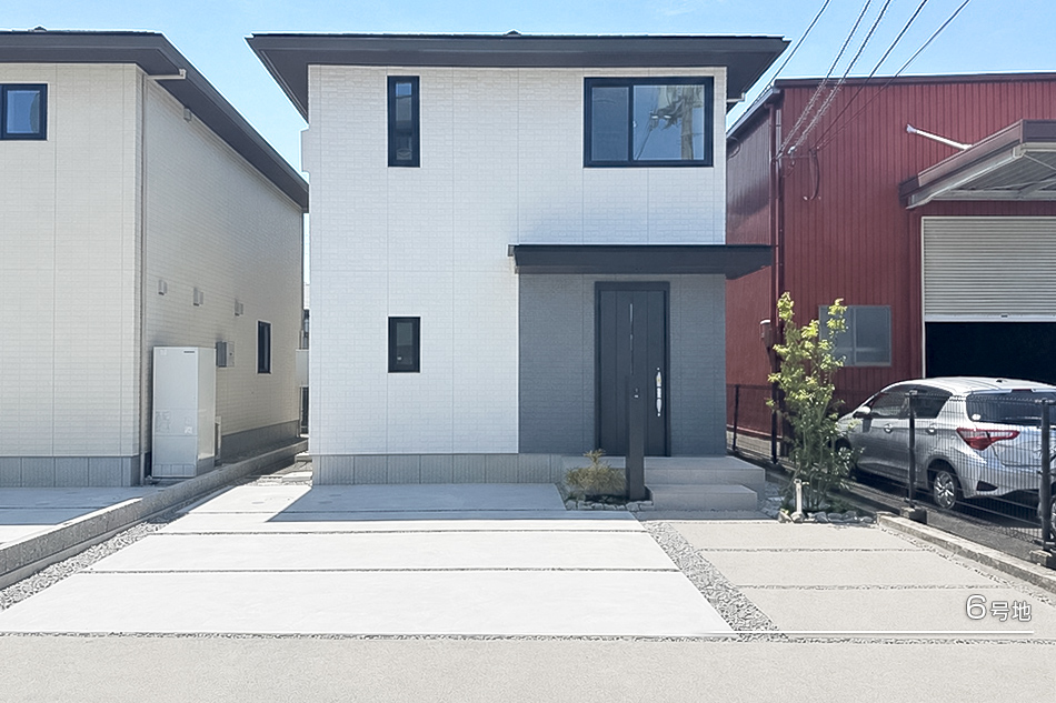 6号地