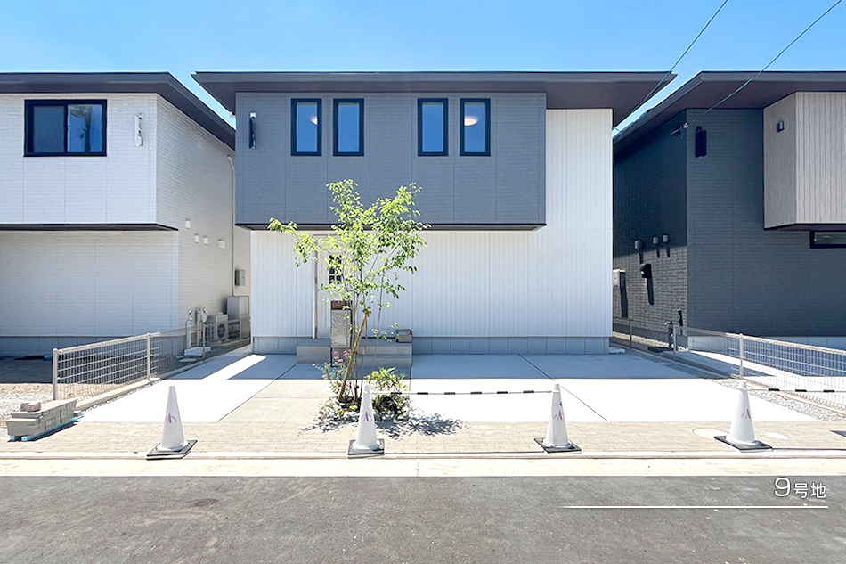 9号地