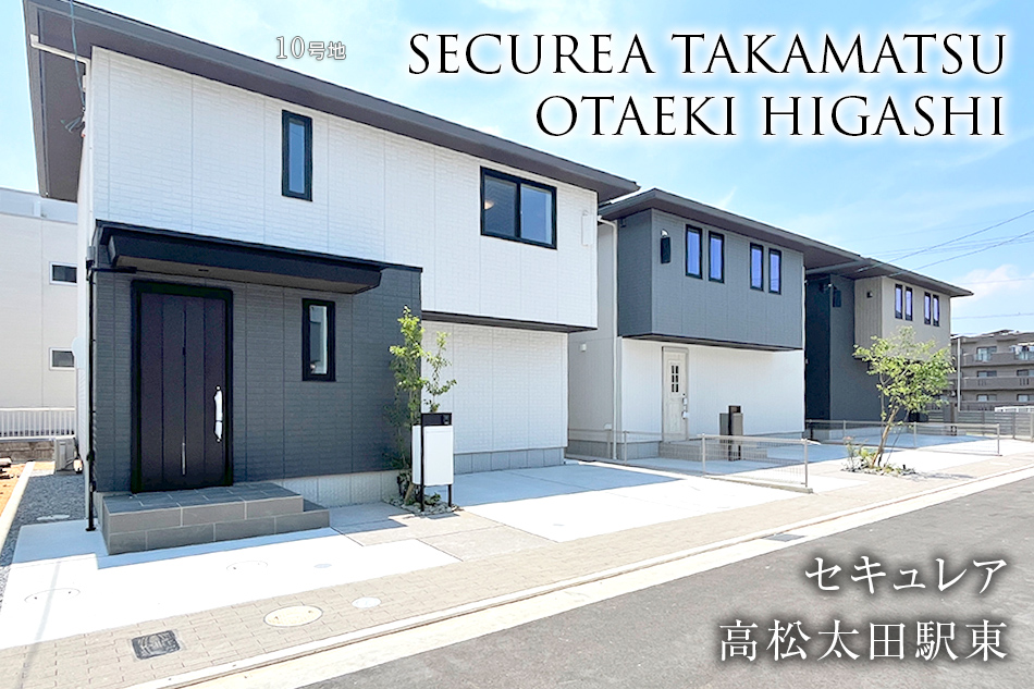 10号地