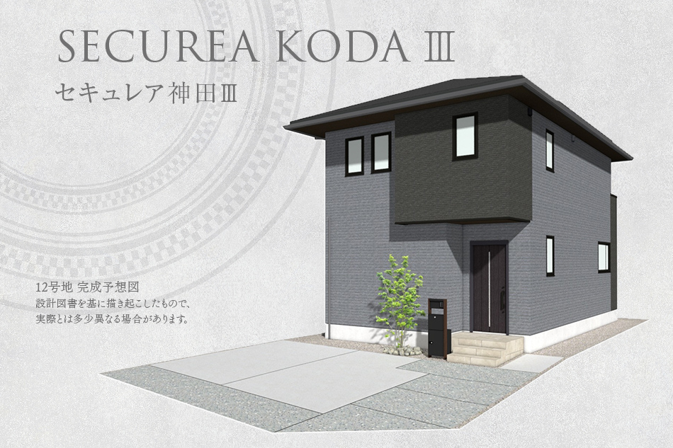 12号地