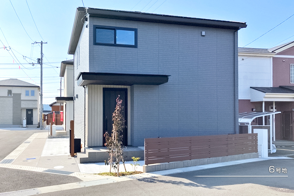 6号地