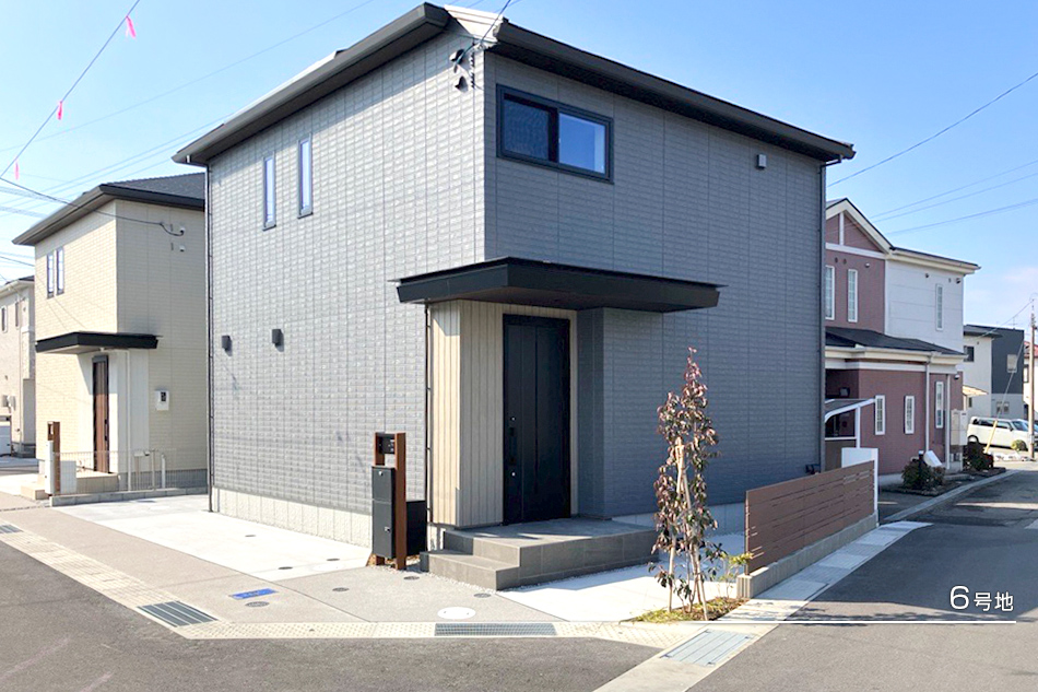 6号地