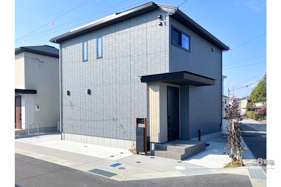 6号地