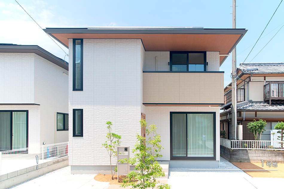 1号地