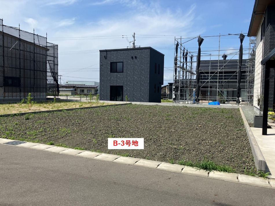 B-3号地