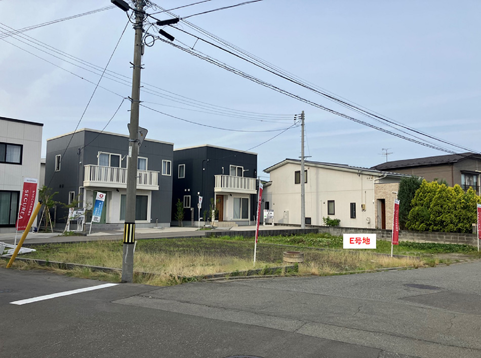 E号地