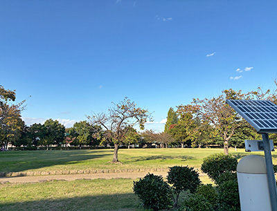 西部公園