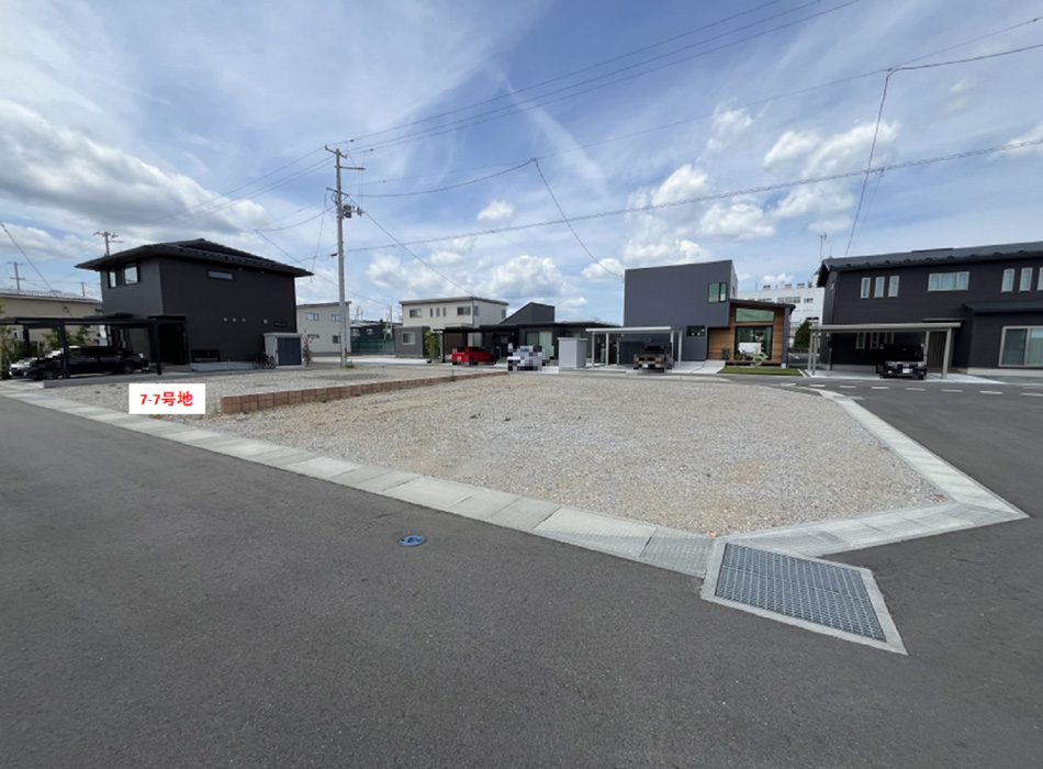 7-7号地