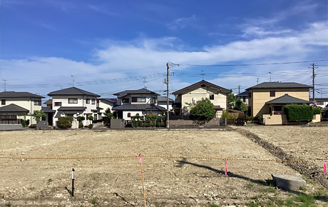 5号地