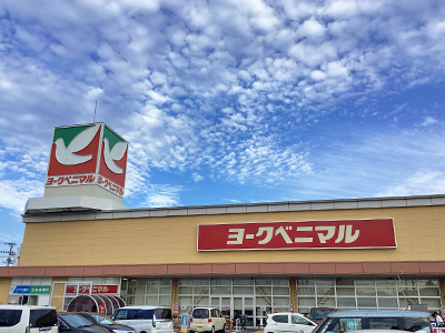 ヨークベニマル 遠見塚店