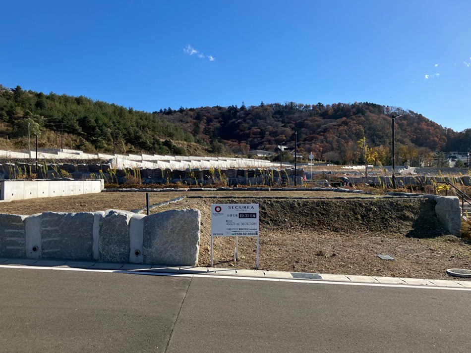 49-31号地