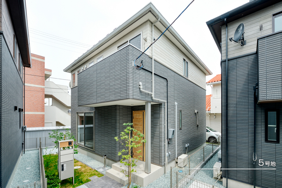 5号地