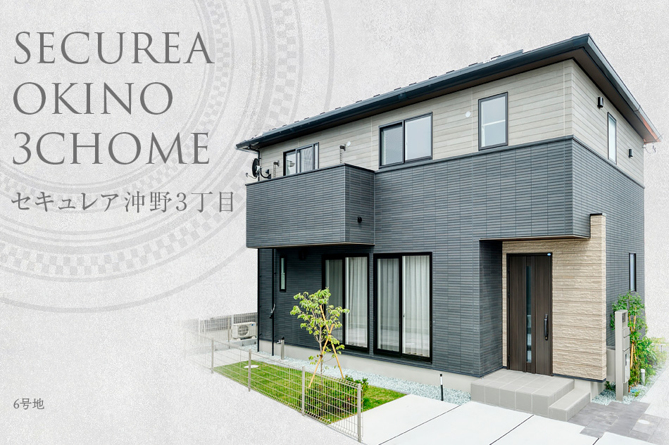 6号地