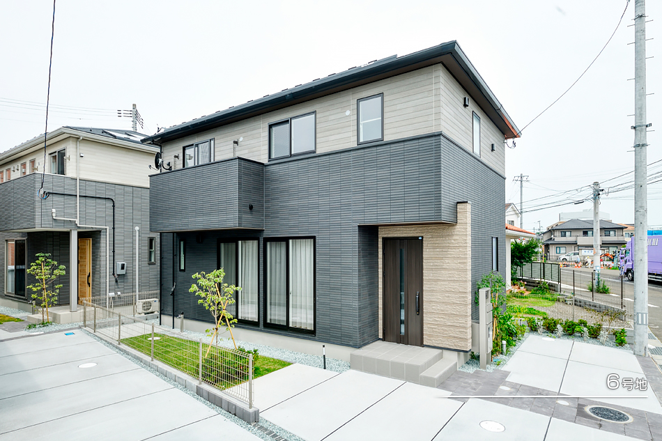 6号地