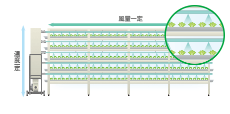 独自開発 送風システム
