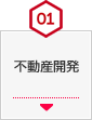 01 不動産開発