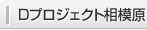 Dプロジェクト相模原