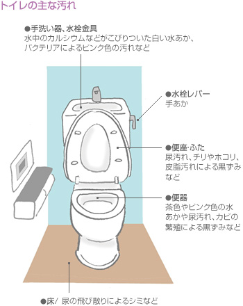 トイレの主な汚れ　手洗い器、水栓金具／水栓レバー／便座·ふた／便器／床