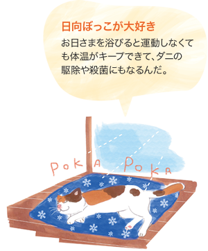 日向ぼっこが大好き お日さまを浴びると運動しなくても体温がキープできて、ダニの駆除や殺菌にもなるんだ。