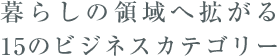 炵̗̈֊g15̃rWlXJeS[
