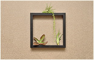 フレームを使ってアートのように飾る