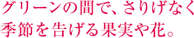 グリーンの間で、さりげなく季節を告げる果実や花。 