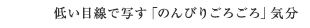 低い目線で写す「のんびりごろごろ」気分